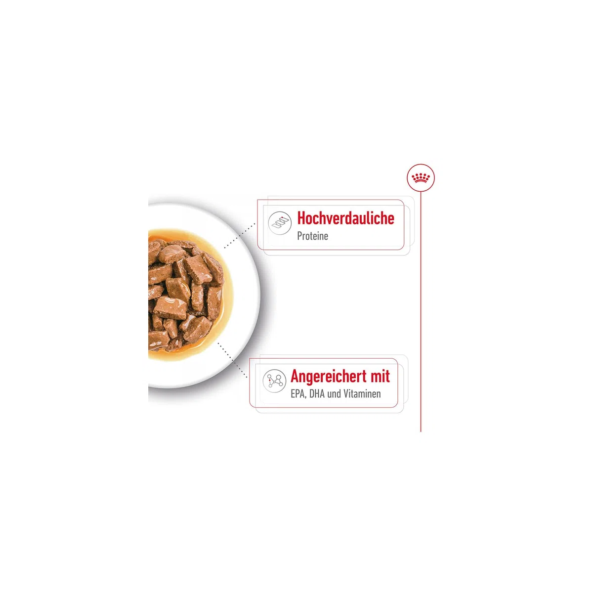 Royal Canin Maxi Ageing 8+ | Confezione Doppia | 2 x 10 x 140 g | Alimento completo per cani | Per cani grandi anziani e senior (26 a 44 kg) | A partire dai 5 anni