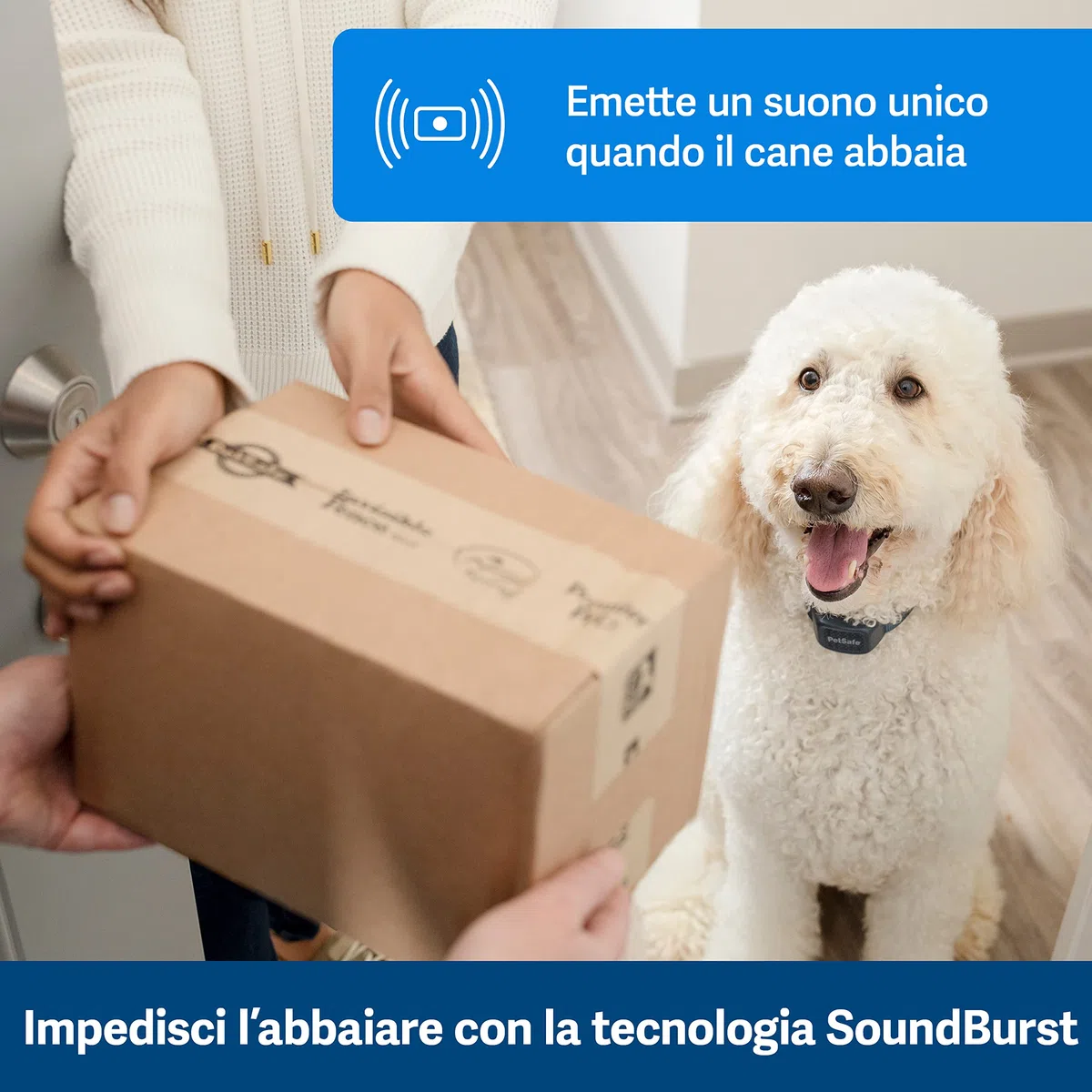 PetSafe - Collare Udibile Antiabbaio per Cani, 10 Livelli di Stimolazione Sicura, Ricaricabile e Impermeabile