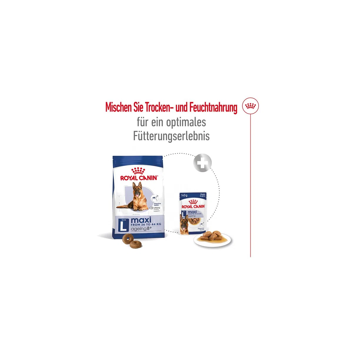 Royal Canin Maxi Ageing 8+ | Confezione Doppia | 2 x 10 x 140 g | Alimento completo per cani | Per cani grandi anziani e senior (26 a 44 kg) | A partire dai 5 anni