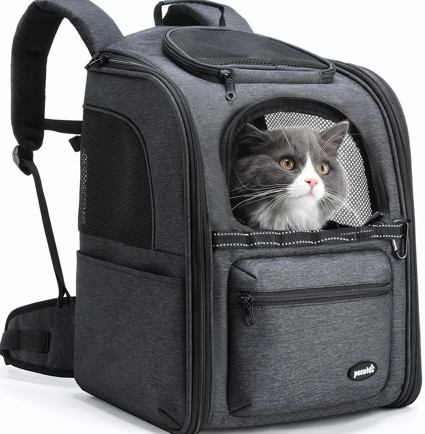 Pecute Zaino per trasporto gatti, sistema di risparmio del 30% di sforzo, design ergonomico e antigravità, adatto per gatti, cani e cuccioli, ideale per viaggi, escursioni, all'aperto