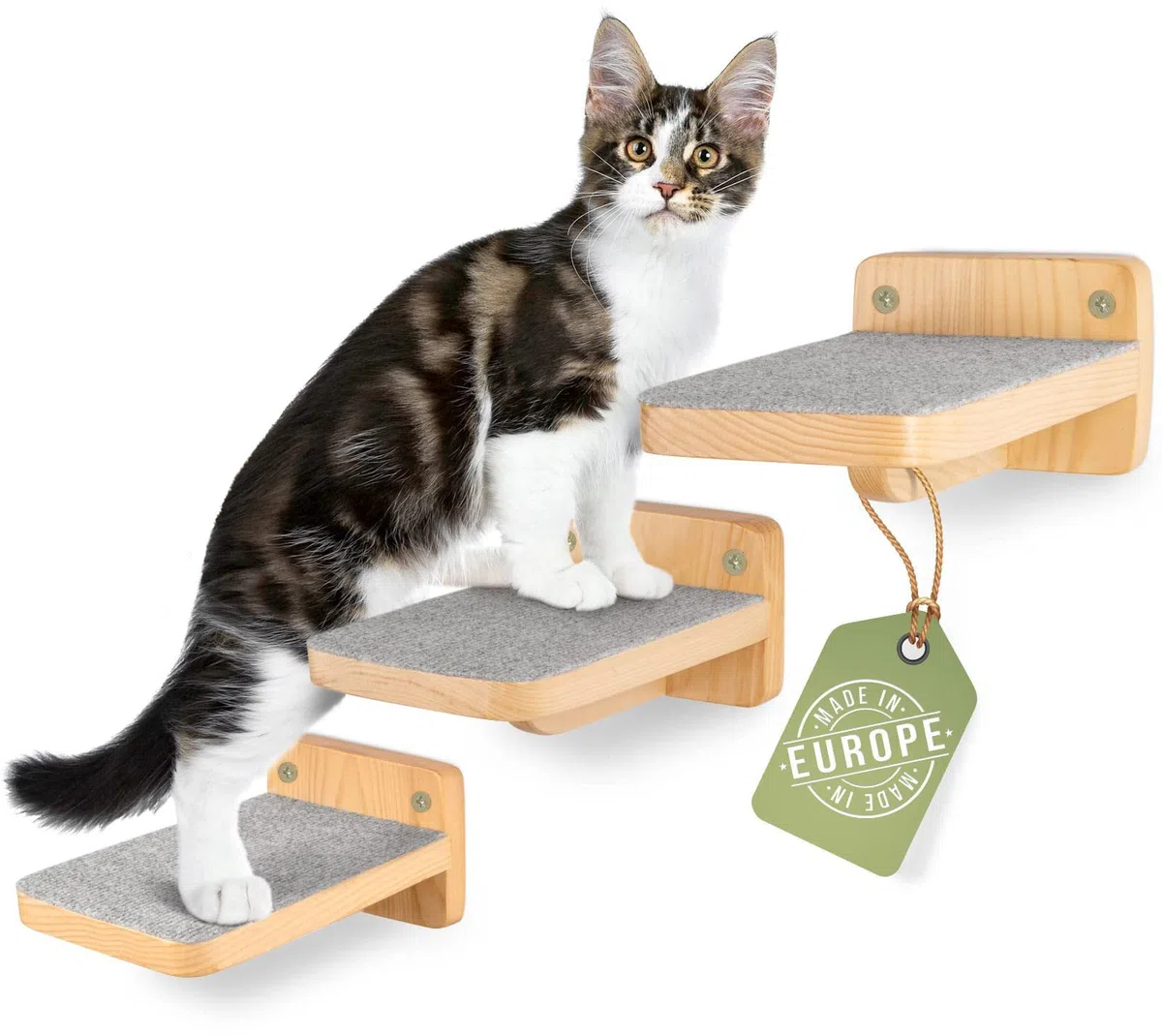 WOOWOOD® Set da 3 Scale per Gatti, Parete da Arrampicata per Gatti, Taglia M