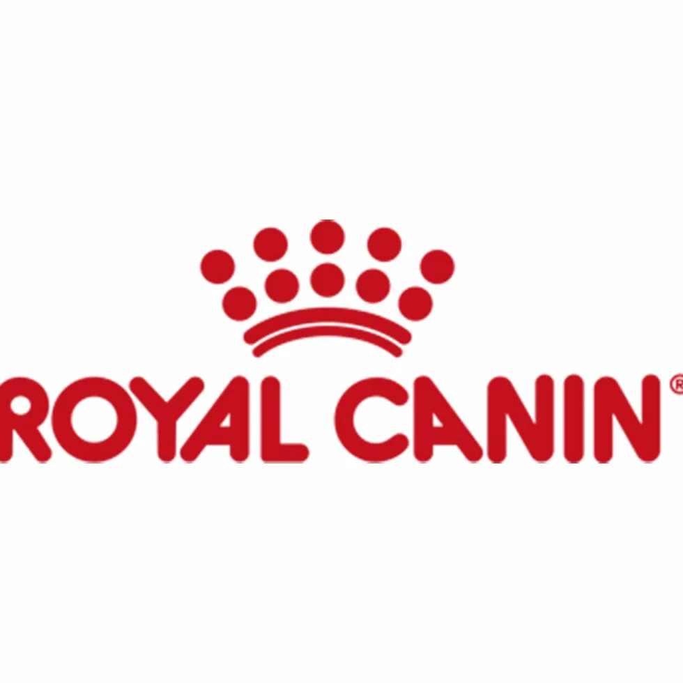 Royal Canin Maxi Ageing 8+ | Confezione Doppia | 2 x 10 x 140 g | Alimento completo per cani | Per cani grandi anziani e senior (26 a 44 kg) | A partire dai 5 anni
