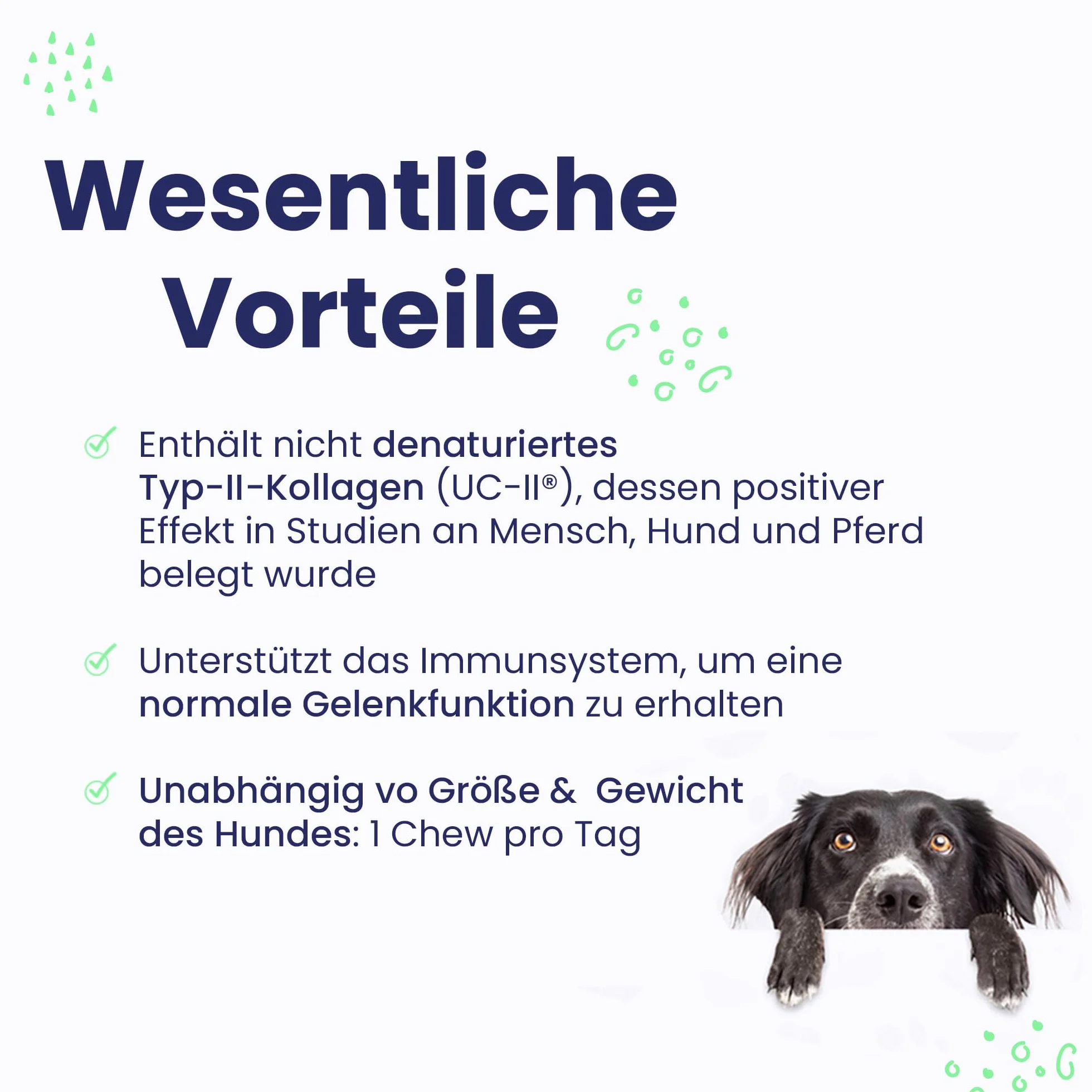 Vetoquinol Flexadin Advanced- snacks for dogs- 60 tablets