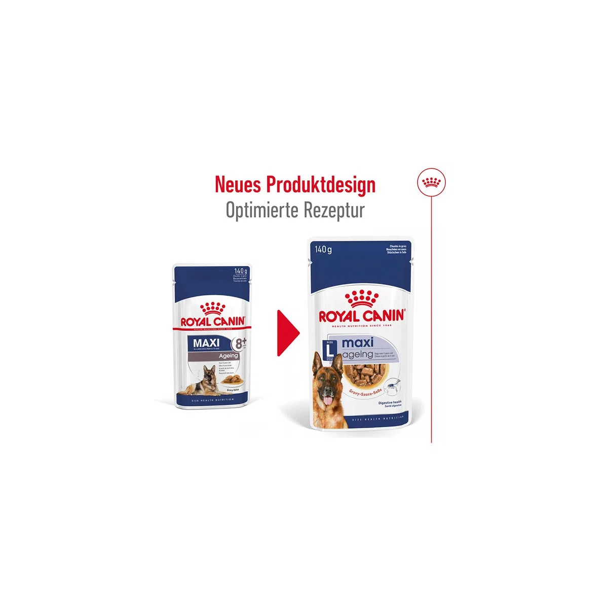 Royal Canin Maxi Ageing 8+ | Confezione Doppia | 2 x 10 x 140 g | Alimento completo per cani | Per cani grandi anziani e senior (26 a 44 kg) | A partire dai 5 anni