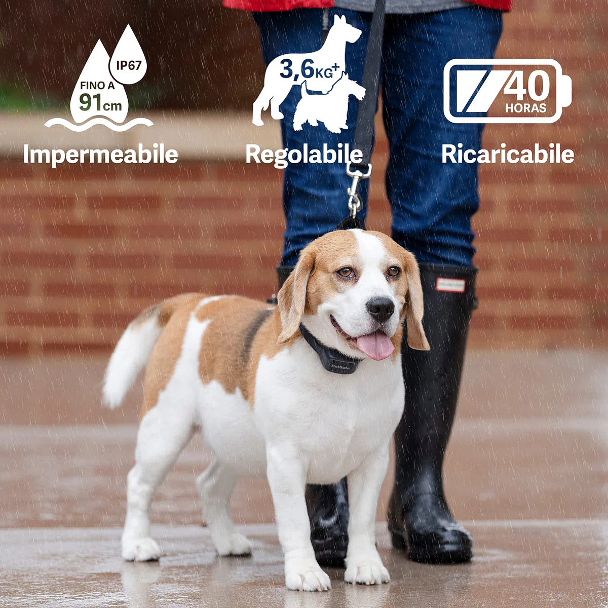PetSafe - Collare Udibile Antiabbaio per Cani, 10 Livelli di Stimolazione Sicura, Ricaricabile e Impermeabile