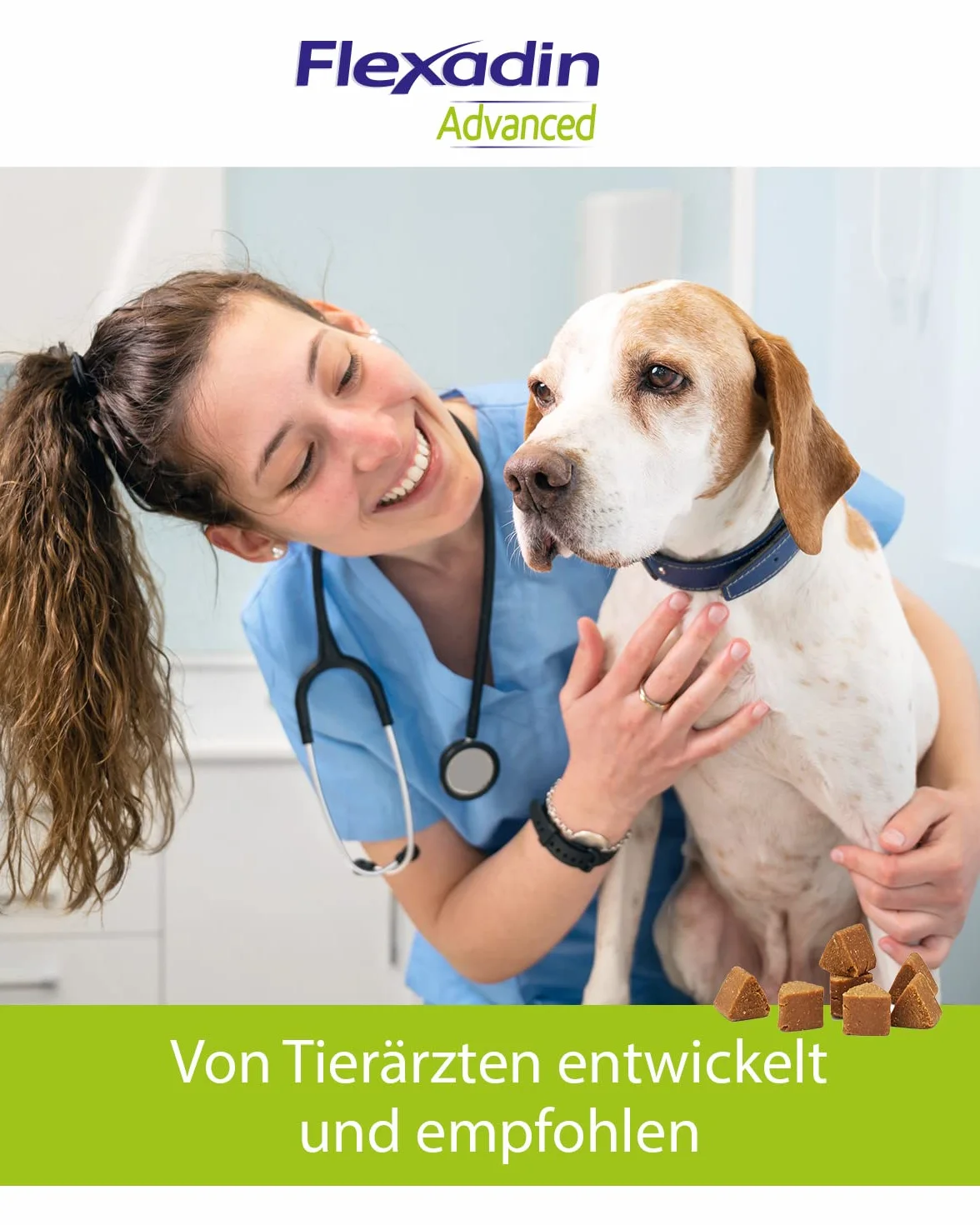 Vetoquinol Flexadin Advanced- snacks for dogs- 60 tablets
