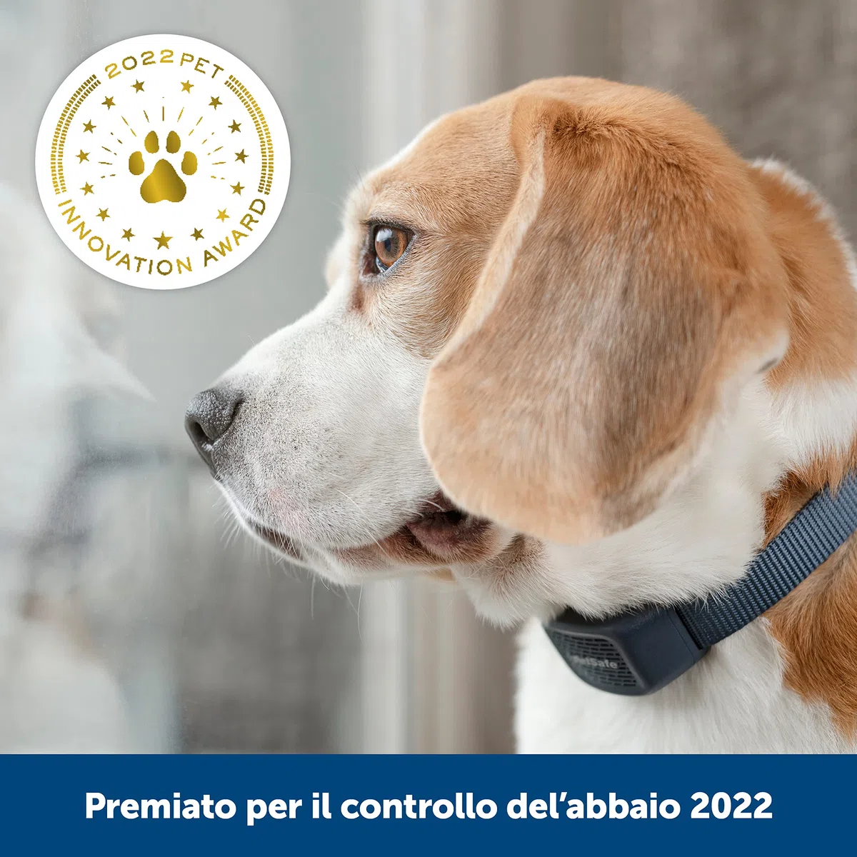 PetSafe - Collare Udibile Antiabbaio per Cani, 10 Livelli di Stimolazione Sicura, Ricaricabile e Impermeabile