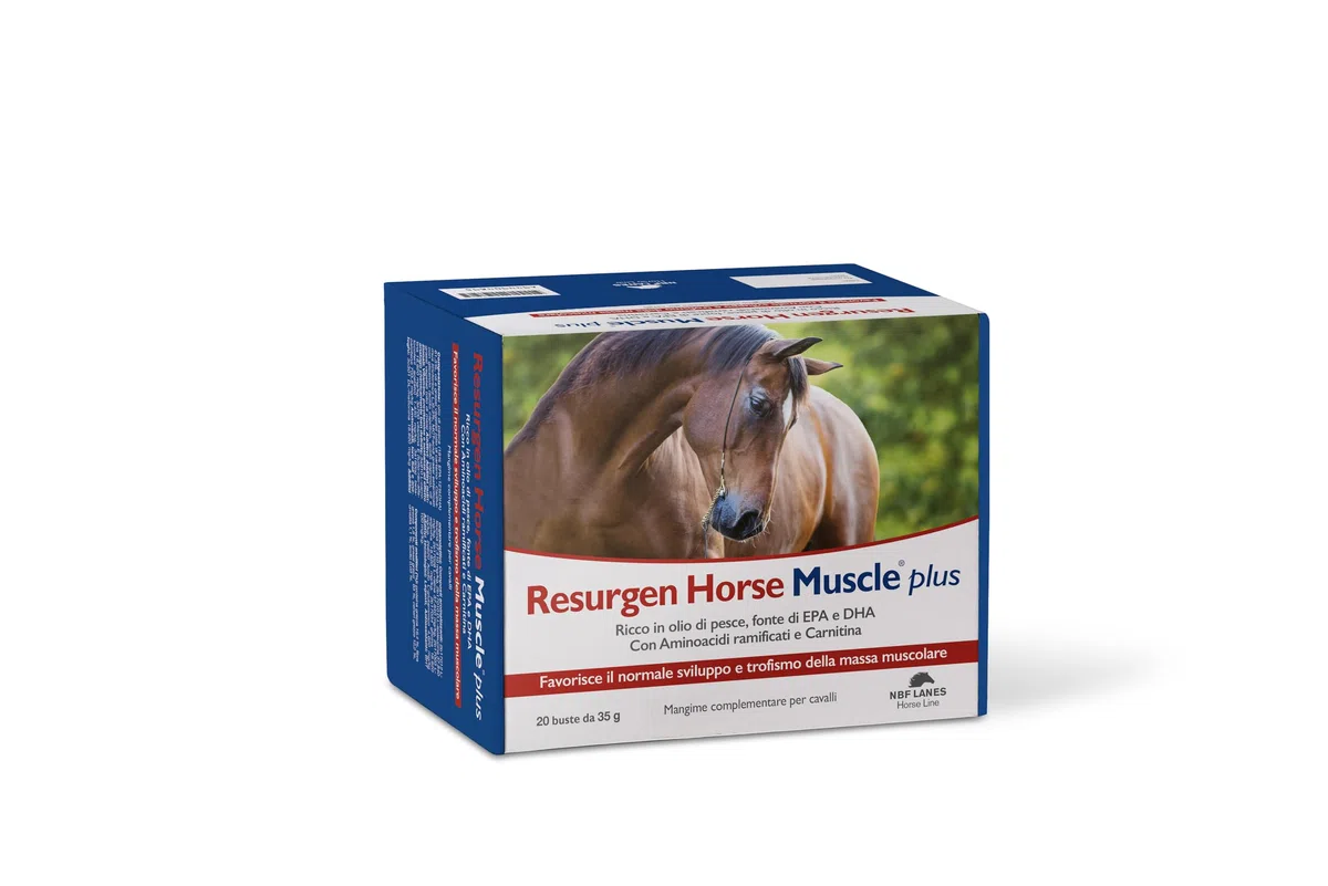 NBF Lanes | Resurgen Horse Muscle Plus - Supporto Muscolare per Cavalli (20 Bustine)